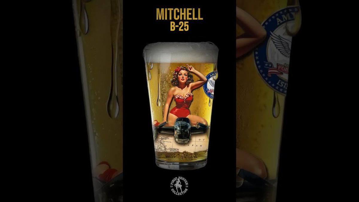 Aviation Pint Glass Line
